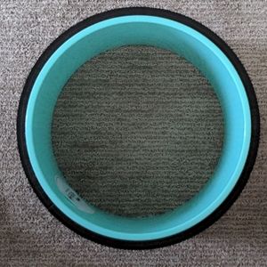 10"/Medium Chirp Wheel